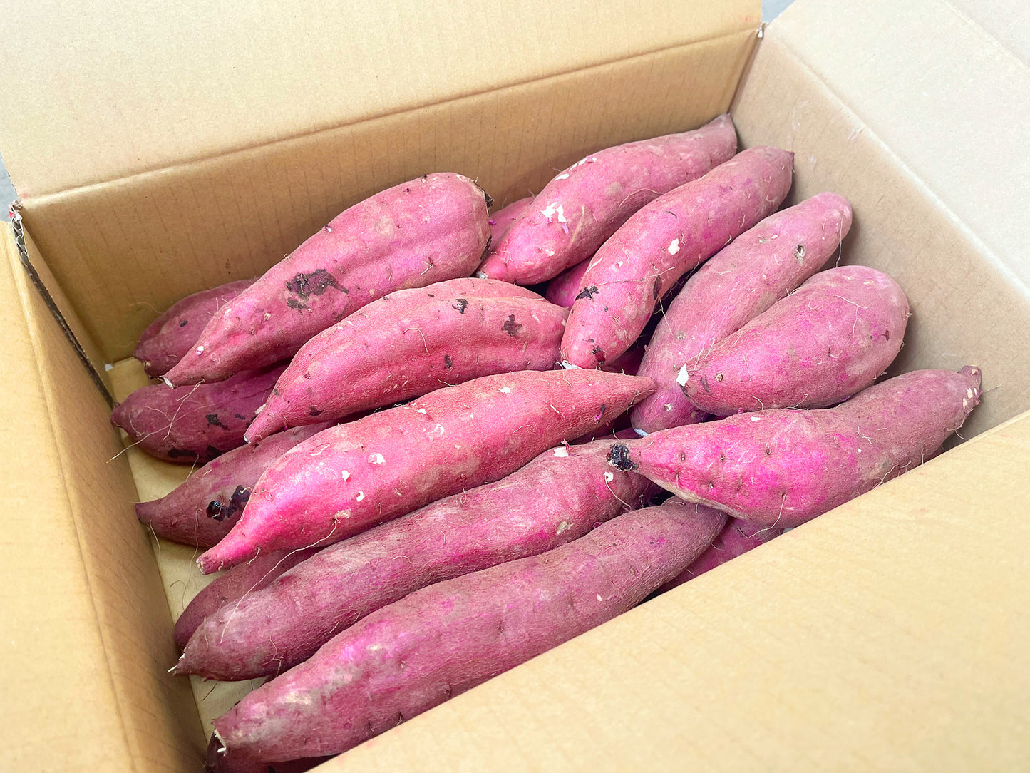 さつまいも（紅はるか）Mサイズ20ｋｇ【ファーマーズ・オブ・ザ・イヤー 2024-2025受賞】